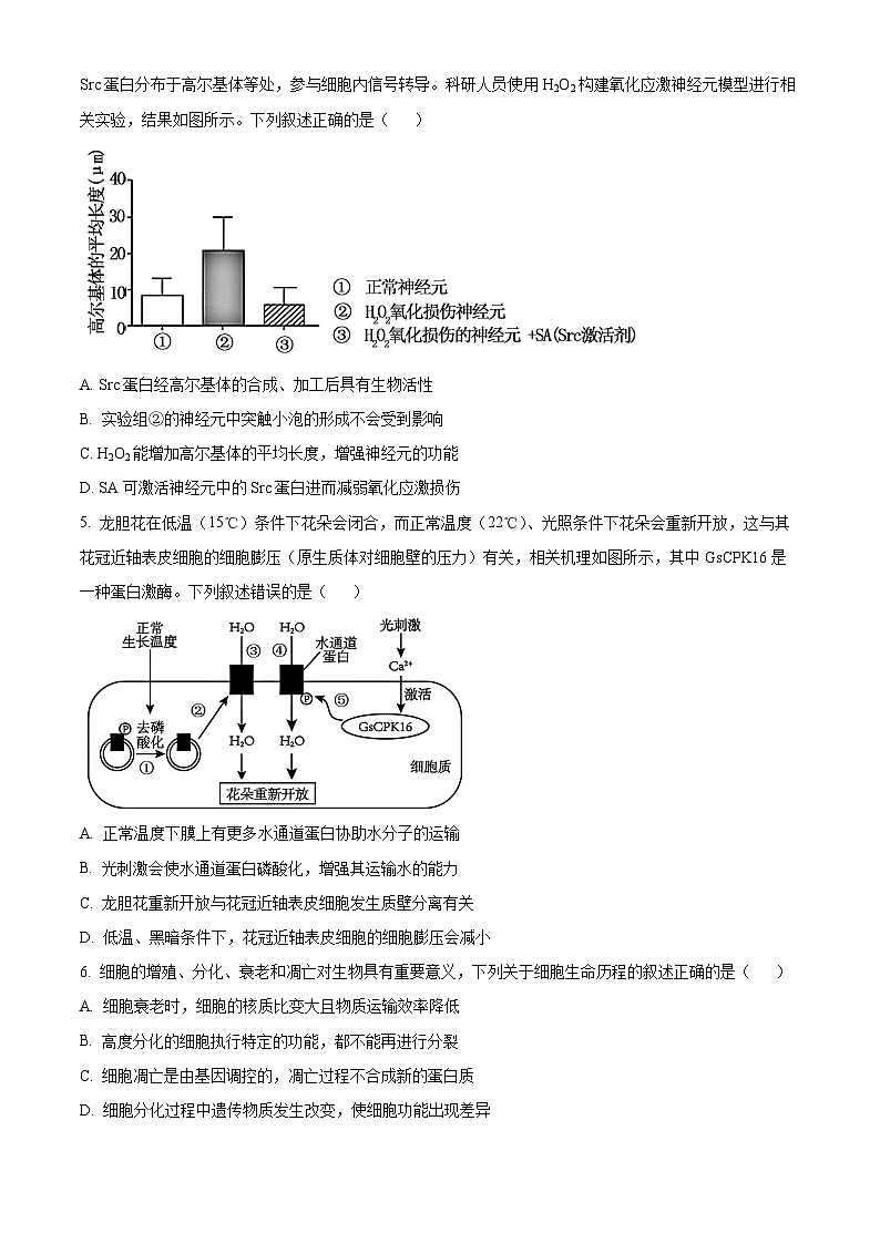 湖北省腾云联盟2024-2025学年高三上学期8月联考生物试题 Word版无答案第2页
