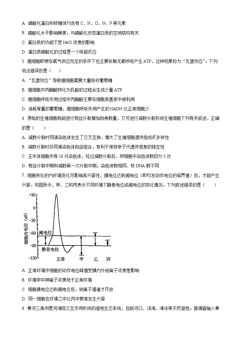 湖南省永州市第一中学2024-2025学年高三上学期8月月考生物试题（Word版附答案）02
