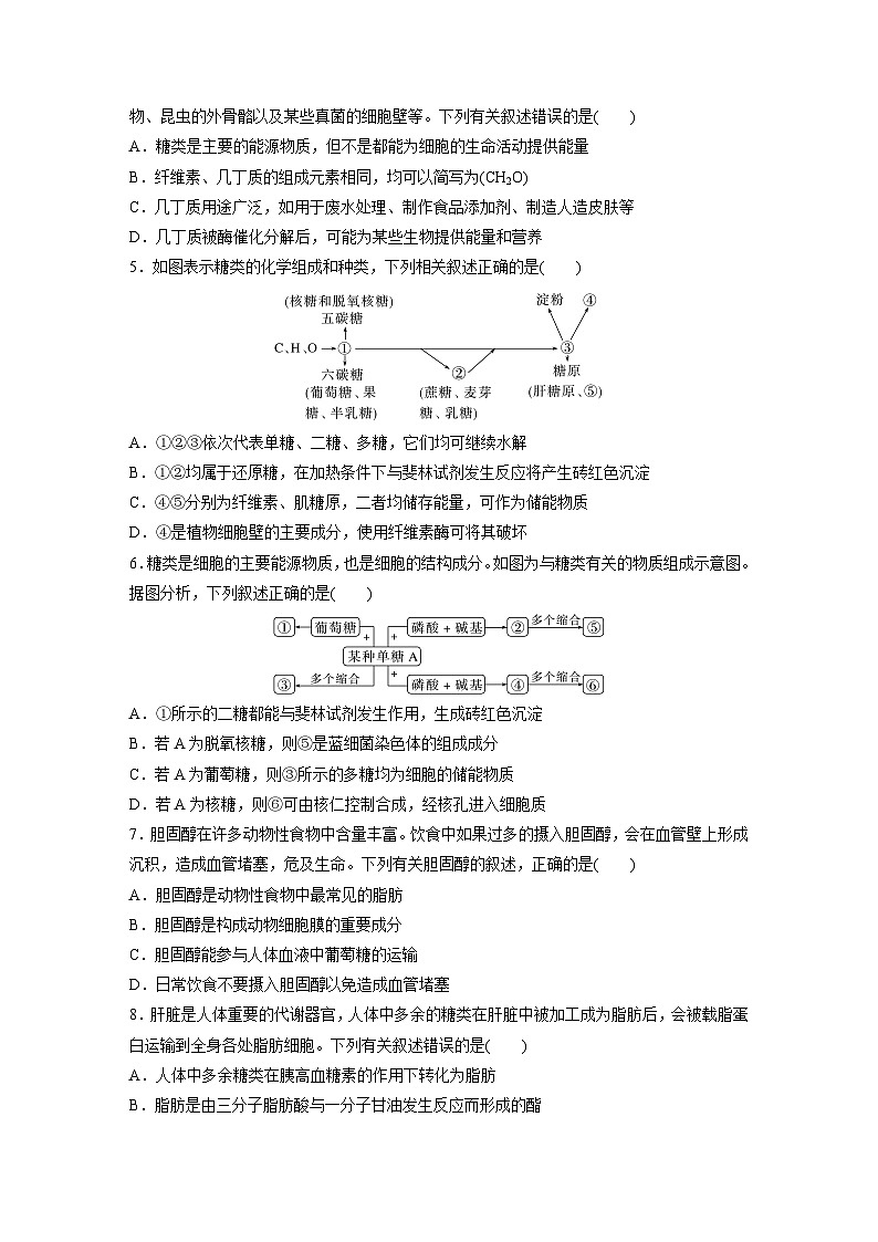 第一单元　课时练3  细胞中的糖类和脂质-2025年高考生物大一轮复习（课件+讲义+练习）专练第2页