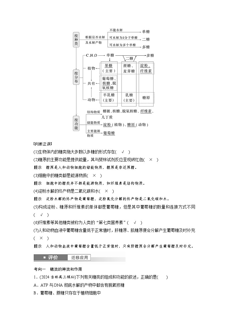 第一单元　第3课时　细胞中的糖类和脂质-2025年高考生物大一轮复习（课件+讲义+练习）教师版第2页