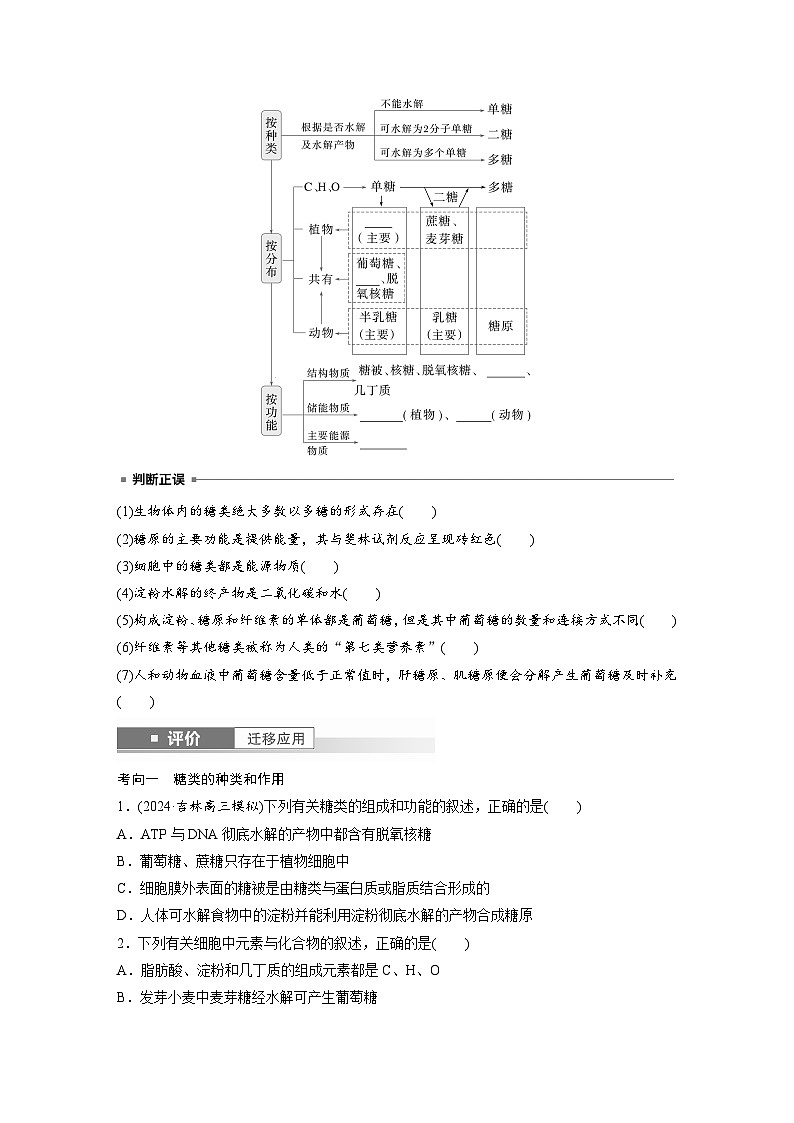 第一单元　第3课时　细胞中的糖类和脂质-2025年高考生物大一轮复习（课件+讲义+练习）学生版第2页