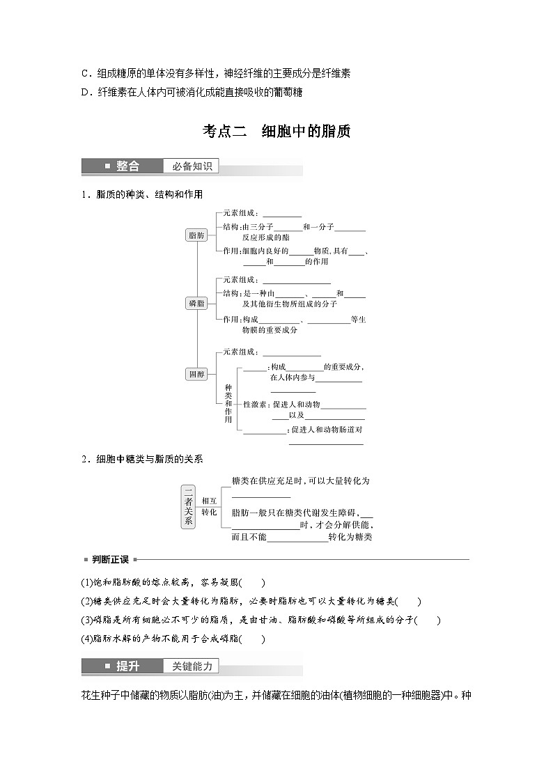 第一单元　第3课时　细胞中的糖类和脂质-2025年高考生物大一轮复习（课件+讲义+练习）学生版第3页