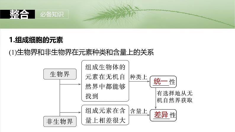 第一单元　第三课时　细胞中的糖类和脂质-2025年高考生物大一轮复习（课件+讲义+练习）07