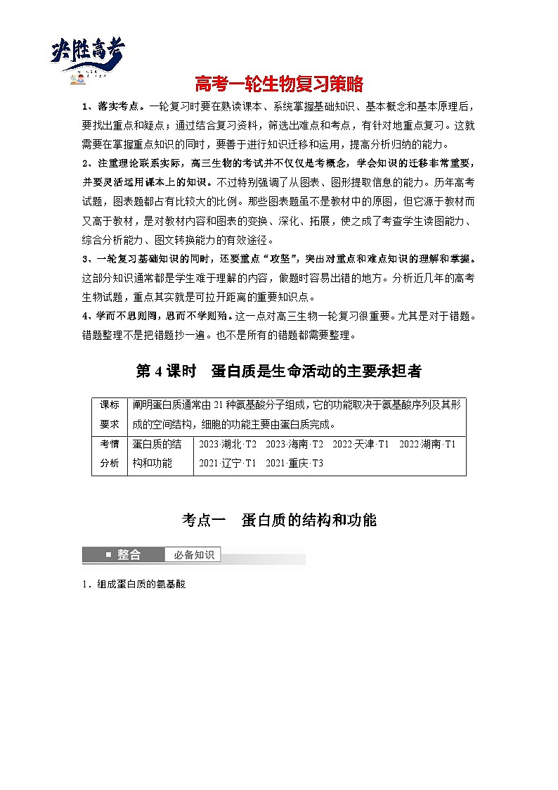 第一单元　第四课时　蛋白质是生命活动的主要承担者-2025年高考生物大一轮复习（课件+讲义+练习）01