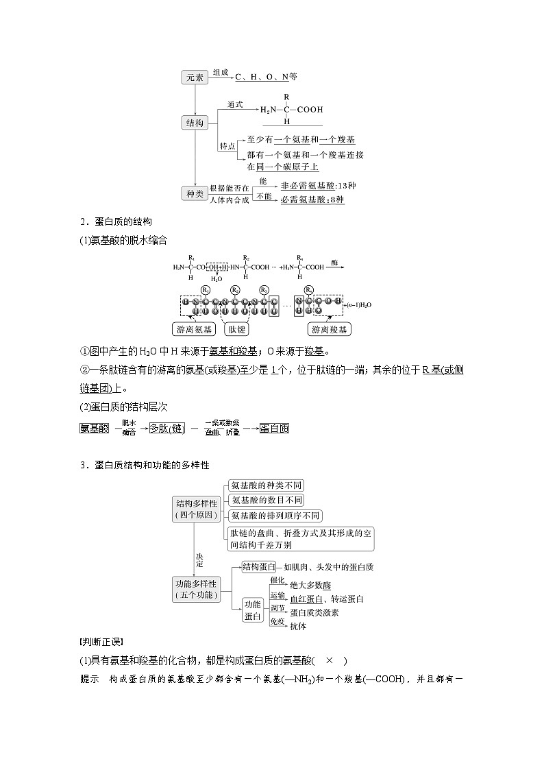 第一单元　第四课时　蛋白质是生命活动的主要承担者-2025年高考生物大一轮复习（课件+讲义+练习）02