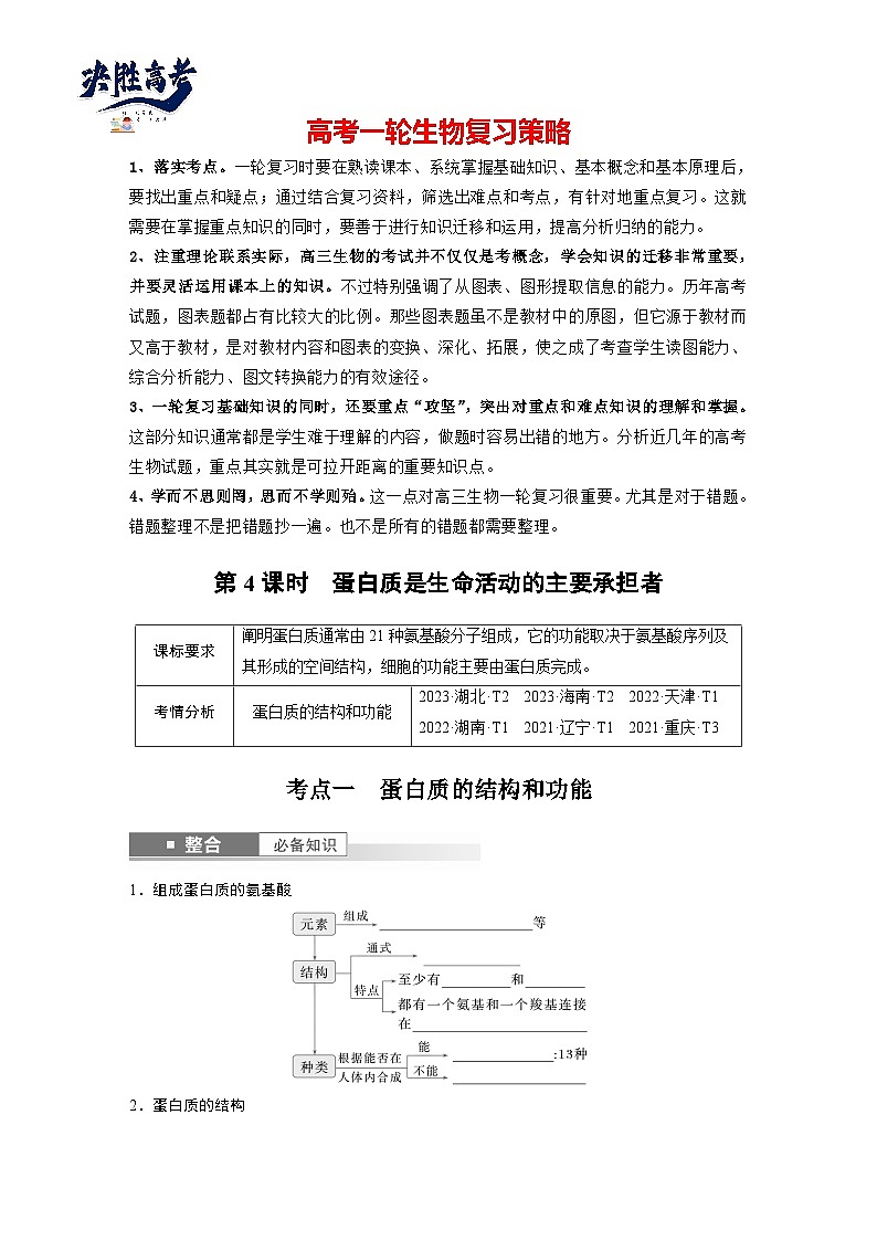 第一单元　第四课时　蛋白质是生命活动的主要承担者-2025年高考生物大一轮复习（课件+讲义+练习）01
