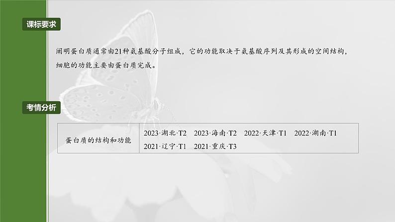 第一单元　第四课时　蛋白质是生命活动的主要承担者-2025年高考生物大一轮复习（课件+讲义+练习）04