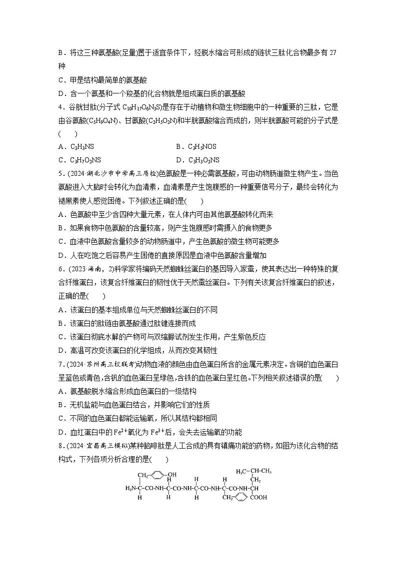 第一单元　第四课时　蛋白质是生命活动的主要承担者-2025年高考生物大一轮复习（课件+讲义+练习）02