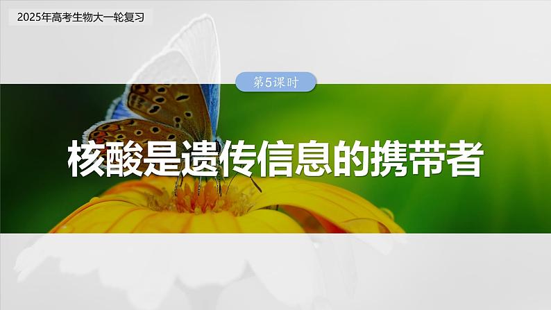 第一单元　第五课时　核酸是遗传信息的携带者-2025年高考生物大一轮复习（课件+讲义+练习）03