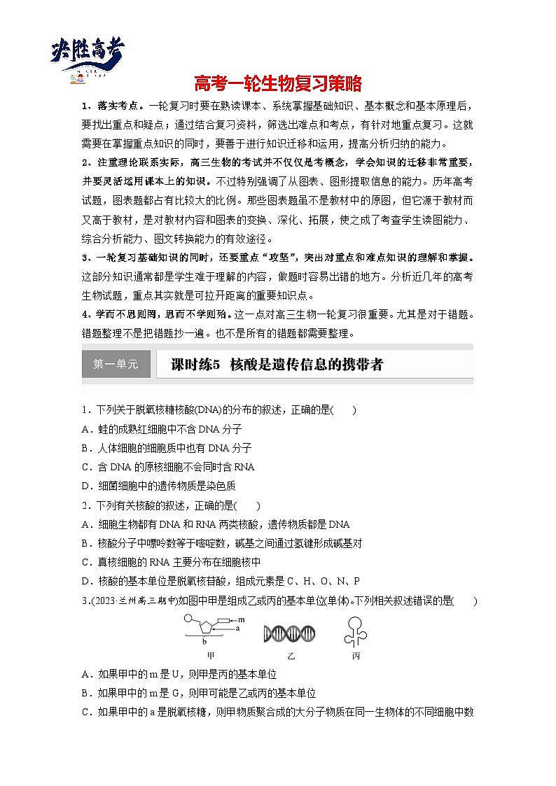 第一单元　第五课时　核酸是遗传信息的携带者-2025年高考生物大一轮复习（课件+讲义+练习）01
