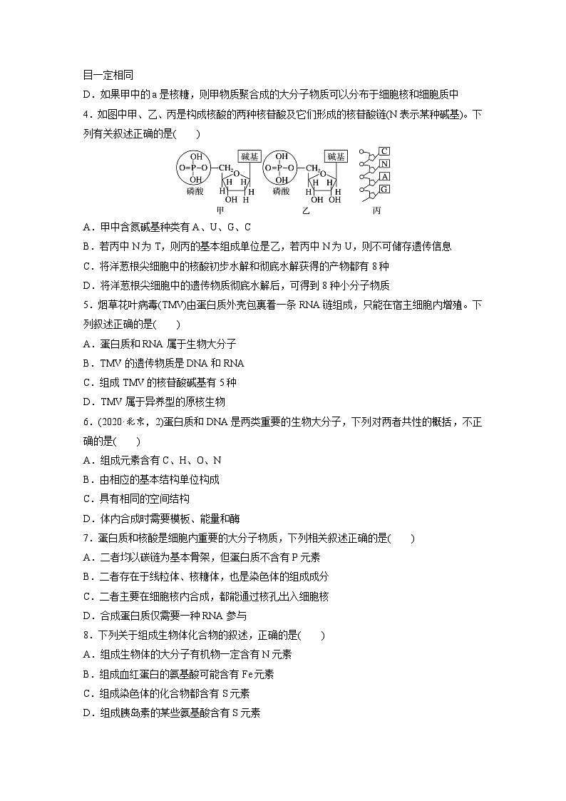 第一单元　第五课时　核酸是遗传信息的携带者-2025年高考生物大一轮复习（课件+讲义+练习）02