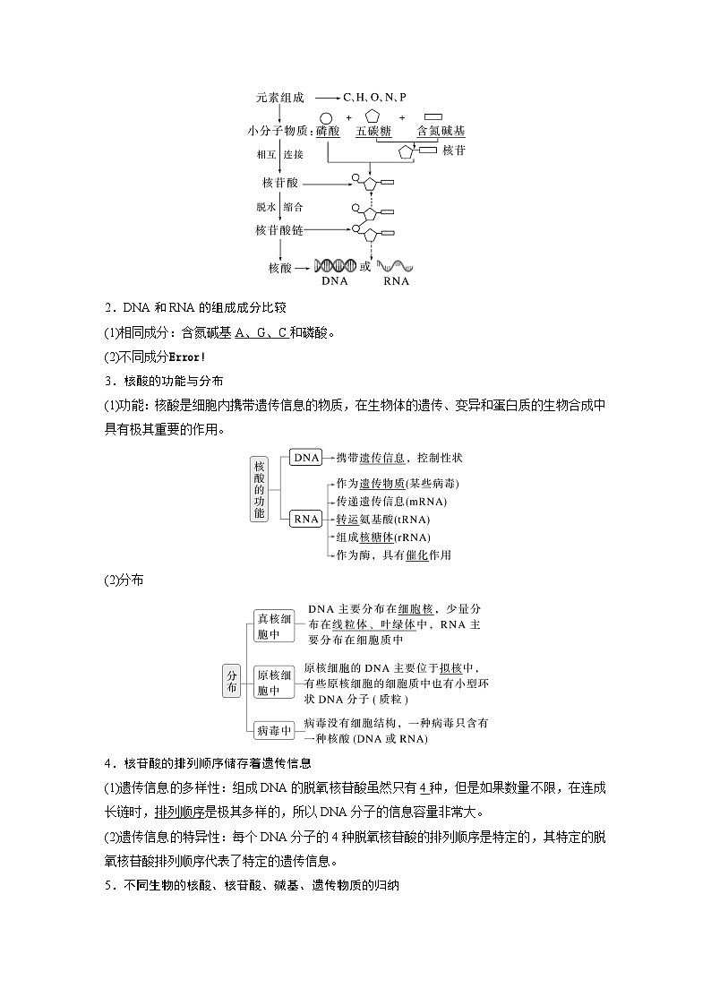 第一单元　第五课时　核酸是遗传信息的携带者-2025年高考生物大一轮复习（课件+讲义+练习）02