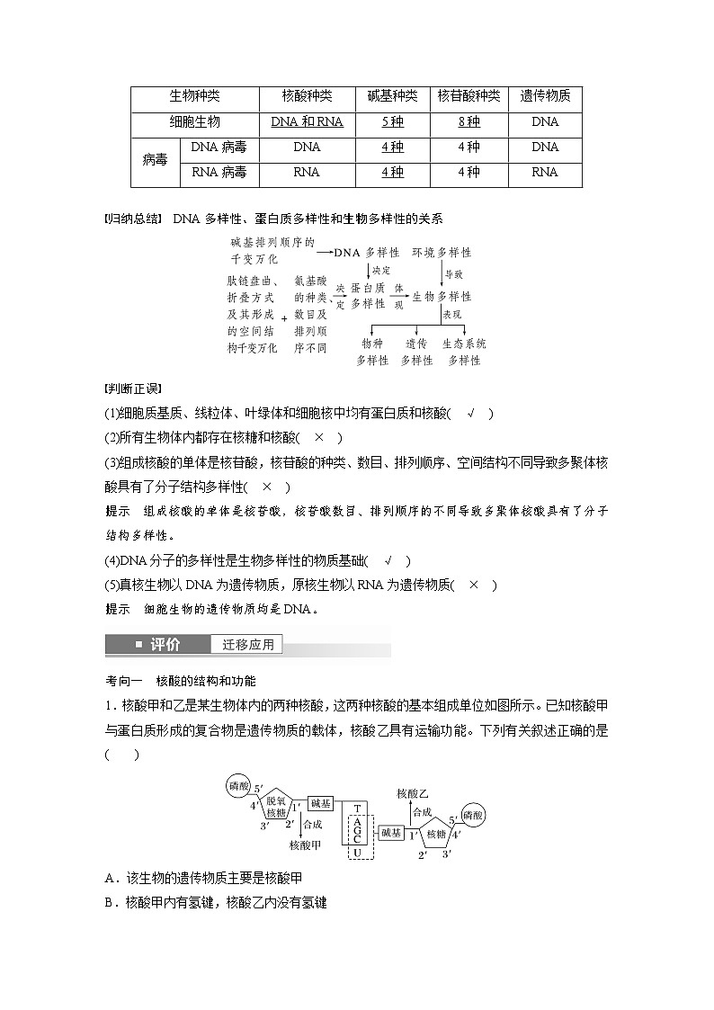 第一单元　第五课时　核酸是遗传信息的携带者-2025年高考生物大一轮复习（课件+讲义+练习）03