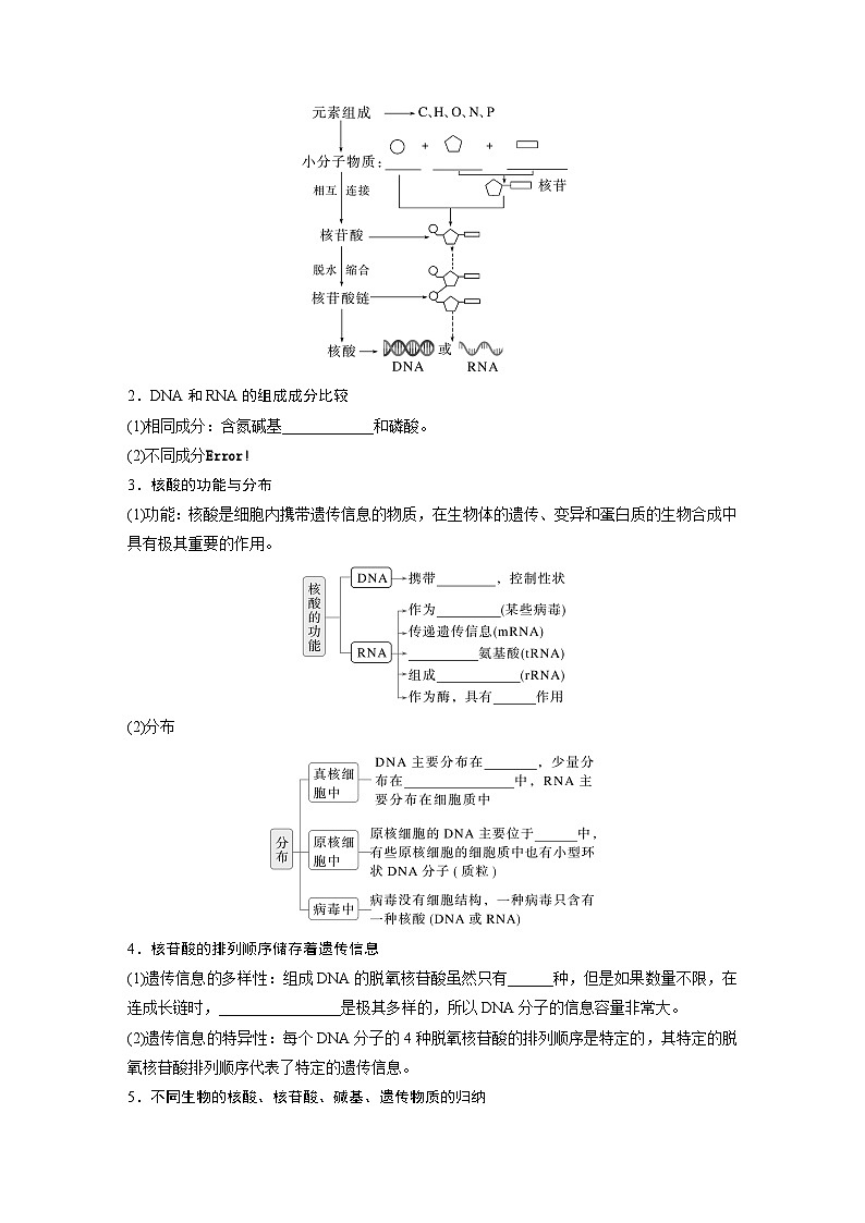 第一单元　第五课时　核酸是遗传信息的携带者-2025年高考生物大一轮复习（课件+讲义+练习）02
