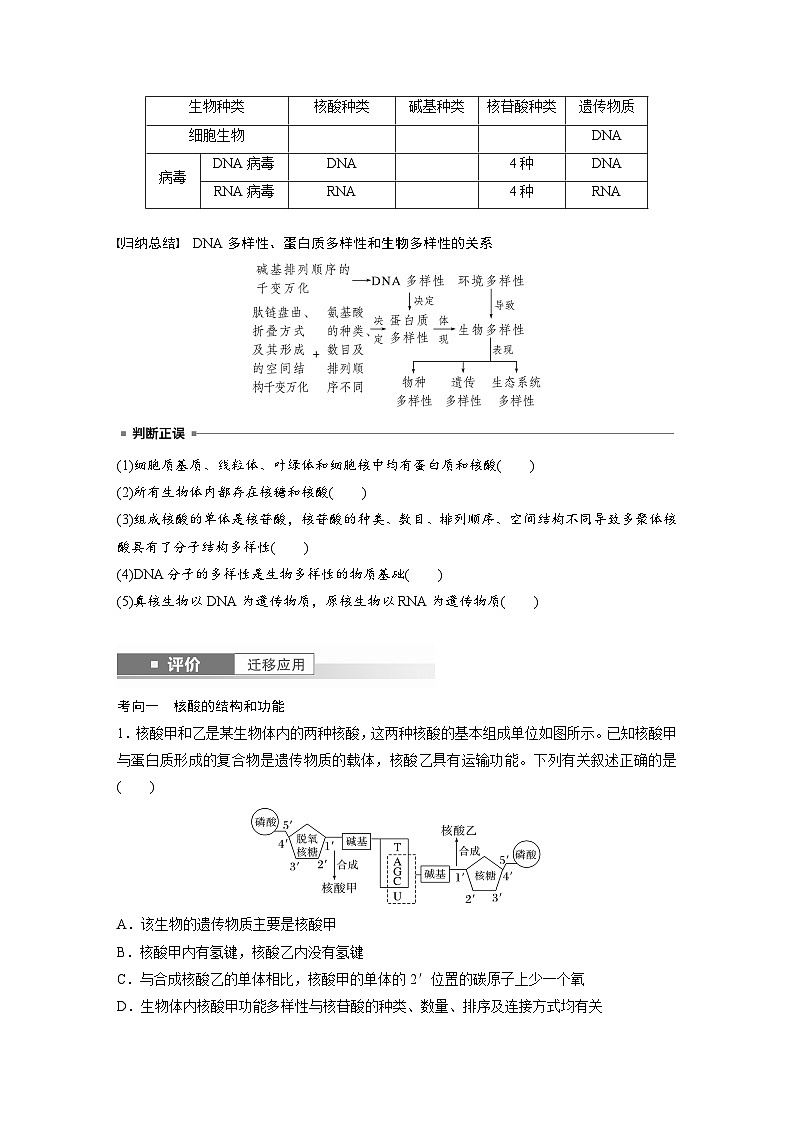 第一单元　第五课时　核酸是遗传信息的携带者-2025年高考生物大一轮复习（课件+讲义+练习）03