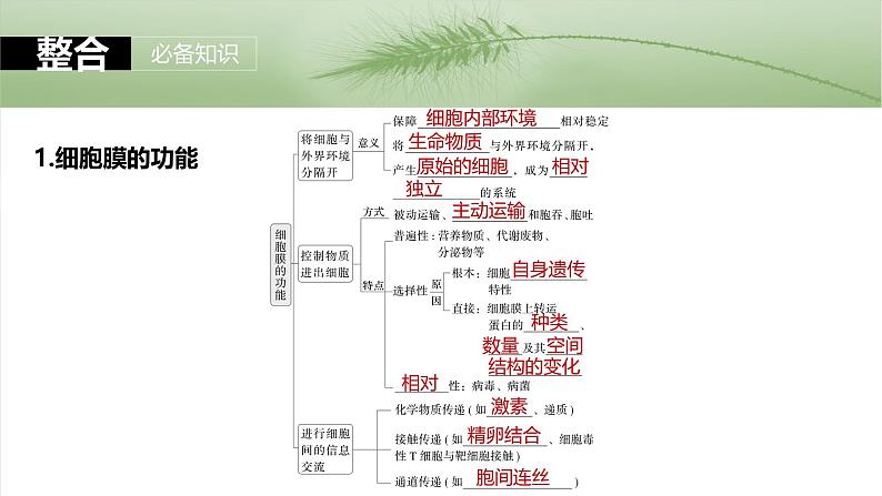 第二单元　第六课时　细胞膜与细胞核的结构和功能-2025年高考生物大一轮复习（课件+讲义+练习）07