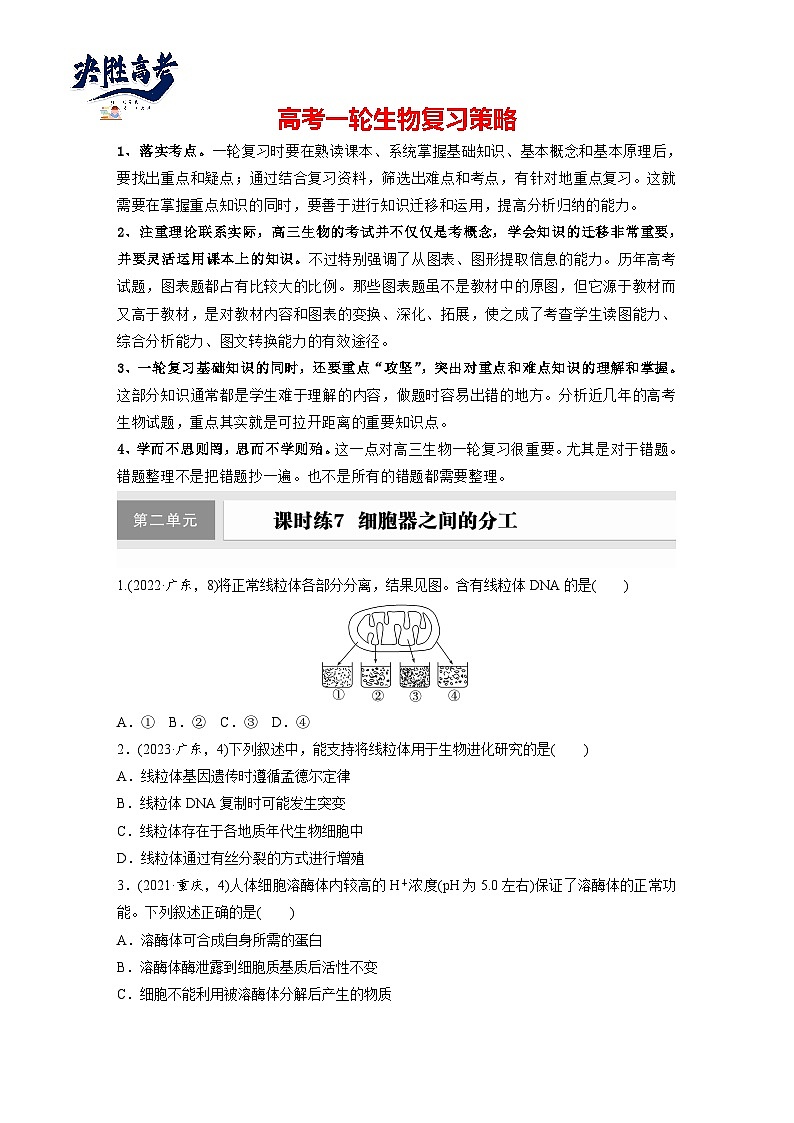 第二单元　第七课时　细胞器之间的分工-2025年高考生物大一轮复习（课件+讲义+练习）01