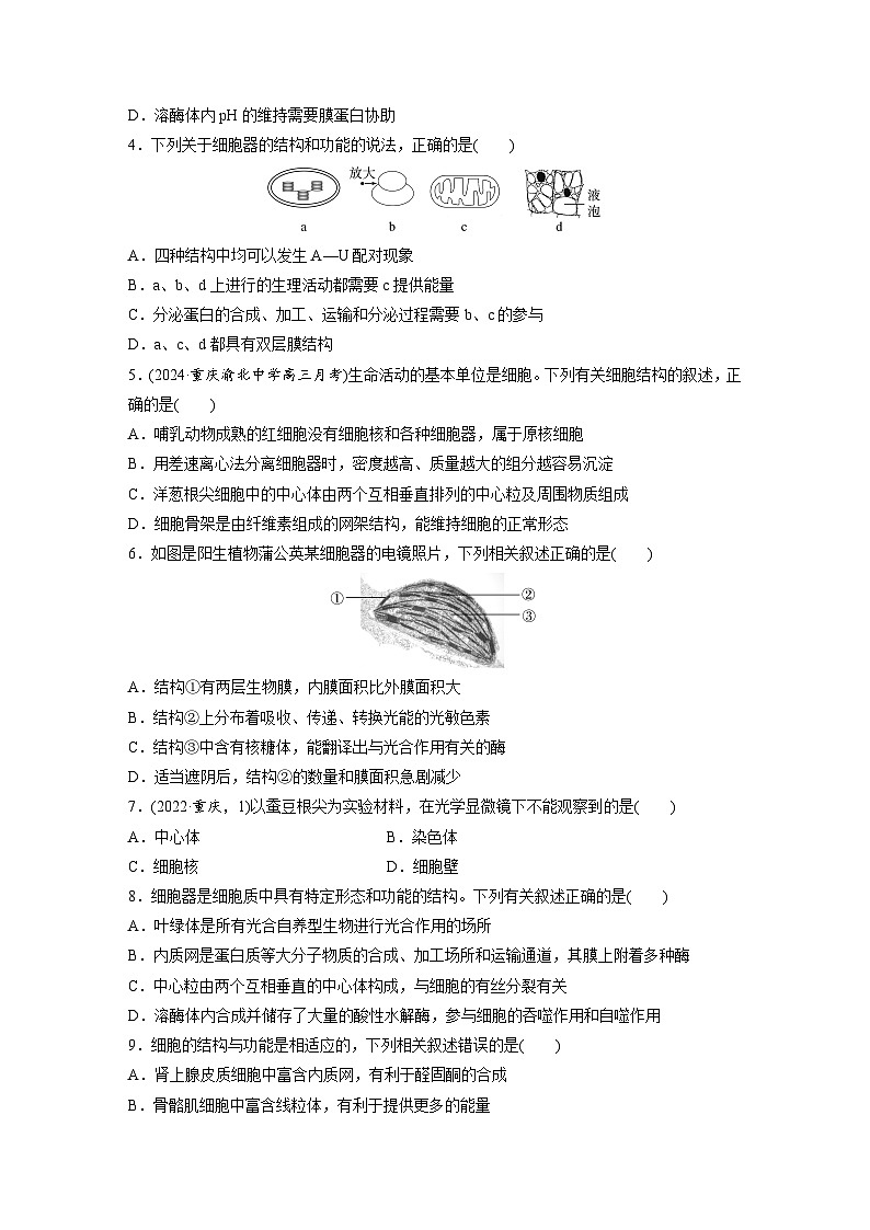 第二单元　第七课时　细胞器之间的分工-2025年高考生物大一轮复习（课件+讲义+练习）02