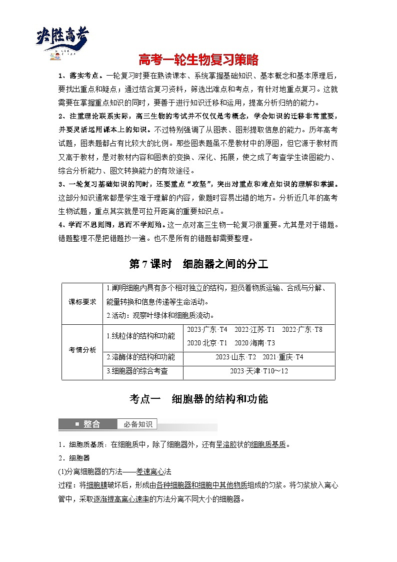 第二单元　第七课时　细胞器之间的分工-2025年高考生物大一轮复习（课件+讲义+练习）01