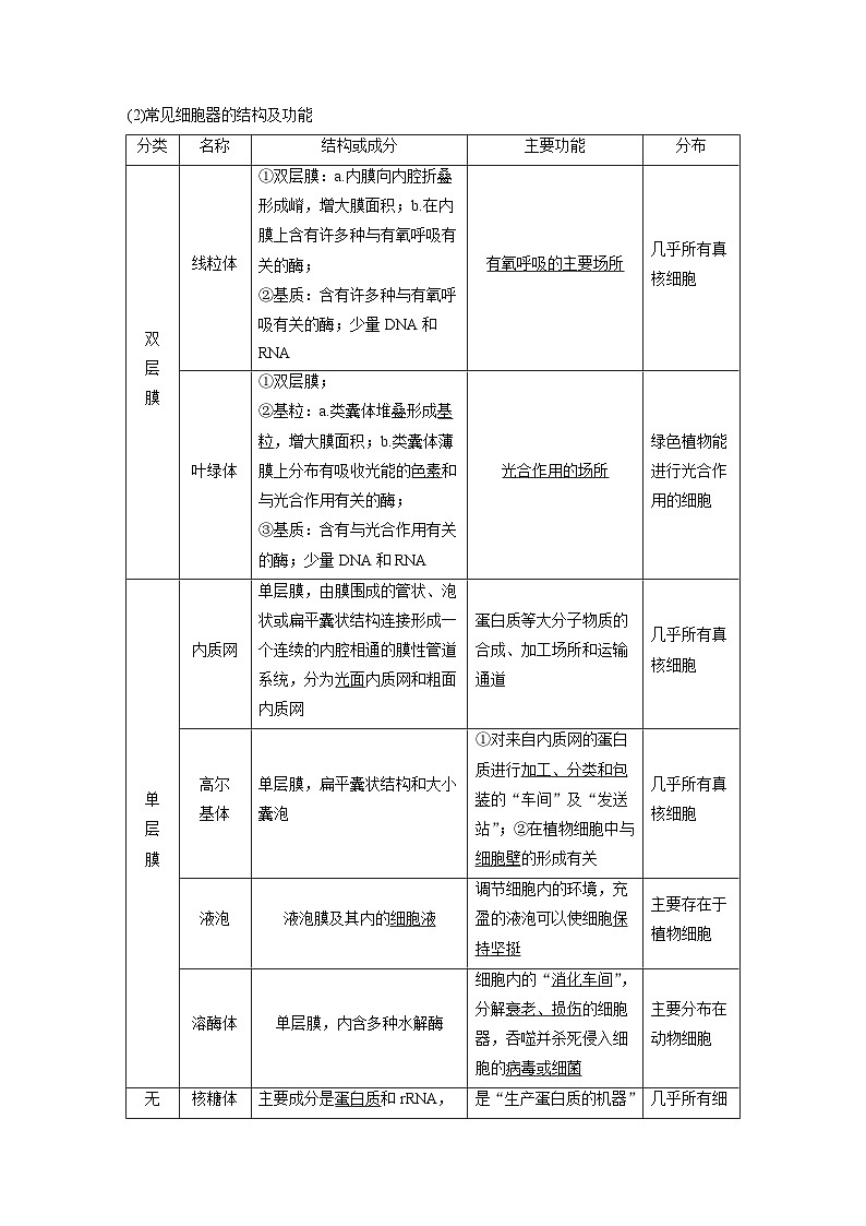 第二单元　第七课时　细胞器之间的分工-2025年高考生物大一轮复习（课件+讲义+练习）02
