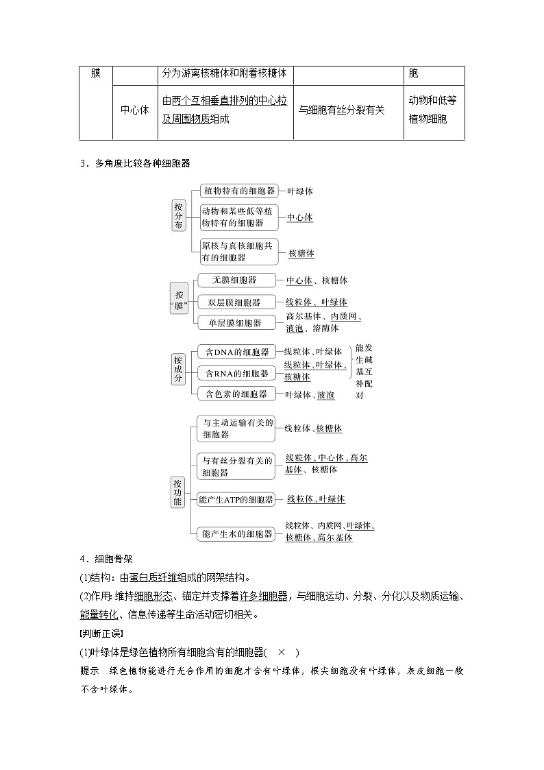 第二单元　第七课时　细胞器之间的分工-2025年高考生物大一轮复习（课件+讲义+练习）03