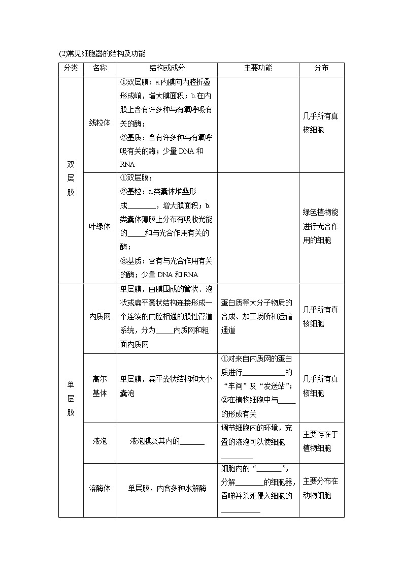 第二单元　第七课时　细胞器之间的分工-2025年高考生物大一轮复习（课件+讲义+练习）02