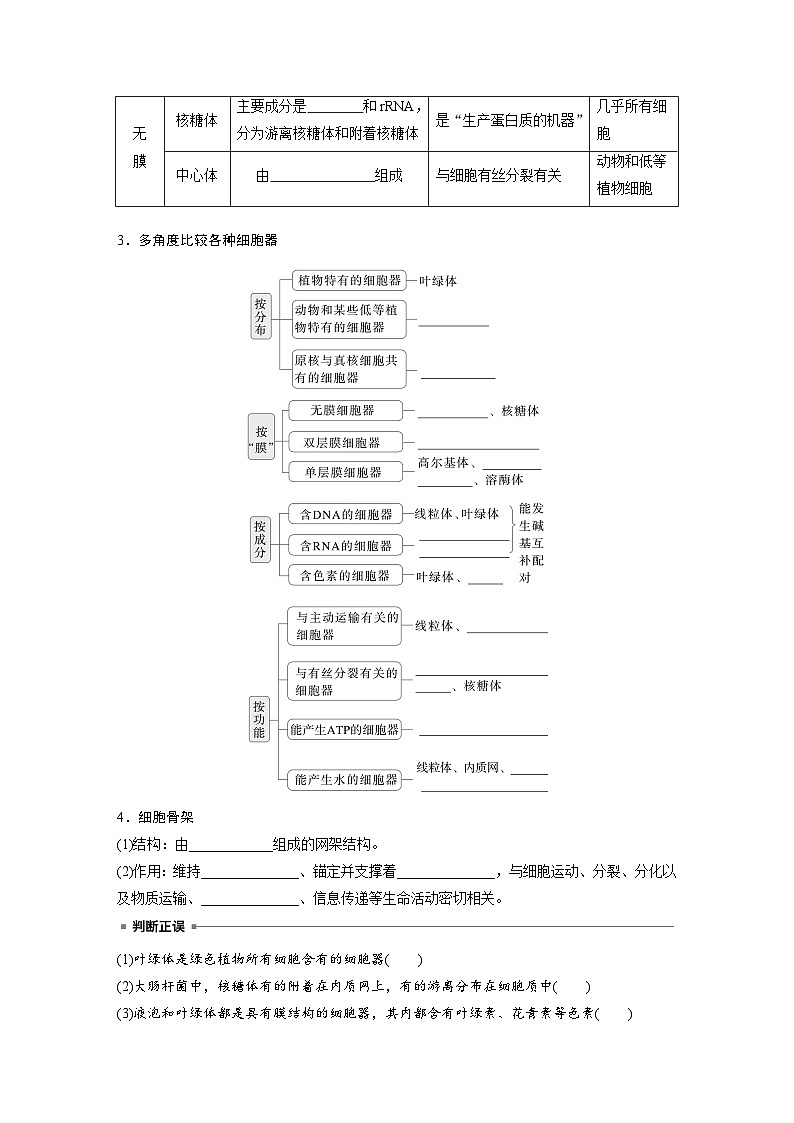 第二单元　第七课时　细胞器之间的分工-2025年高考生物大一轮复习（课件+讲义+练习）03