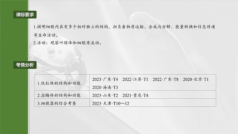 第二单元　第七课时　细胞器之间的分工-2025年高考生物大一轮复习（课件+讲义+练习）04