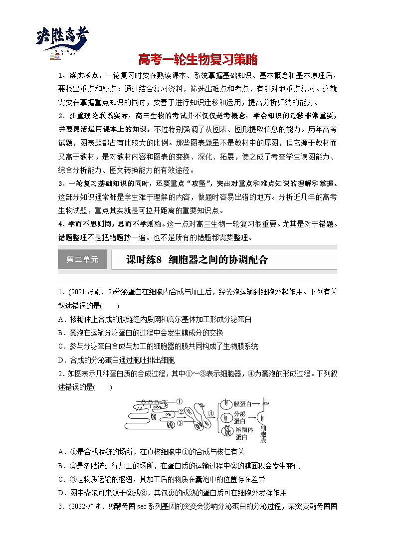 第二单元　第八课时　细胞器之间的协调配合-2025年高考生物大一轮复习（课件+讲义+练习）01