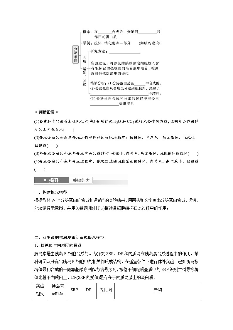 第二单元　第八课时　细胞器之间的协调配合-2025年高考生物大一轮复习（课件+讲义+练习）02