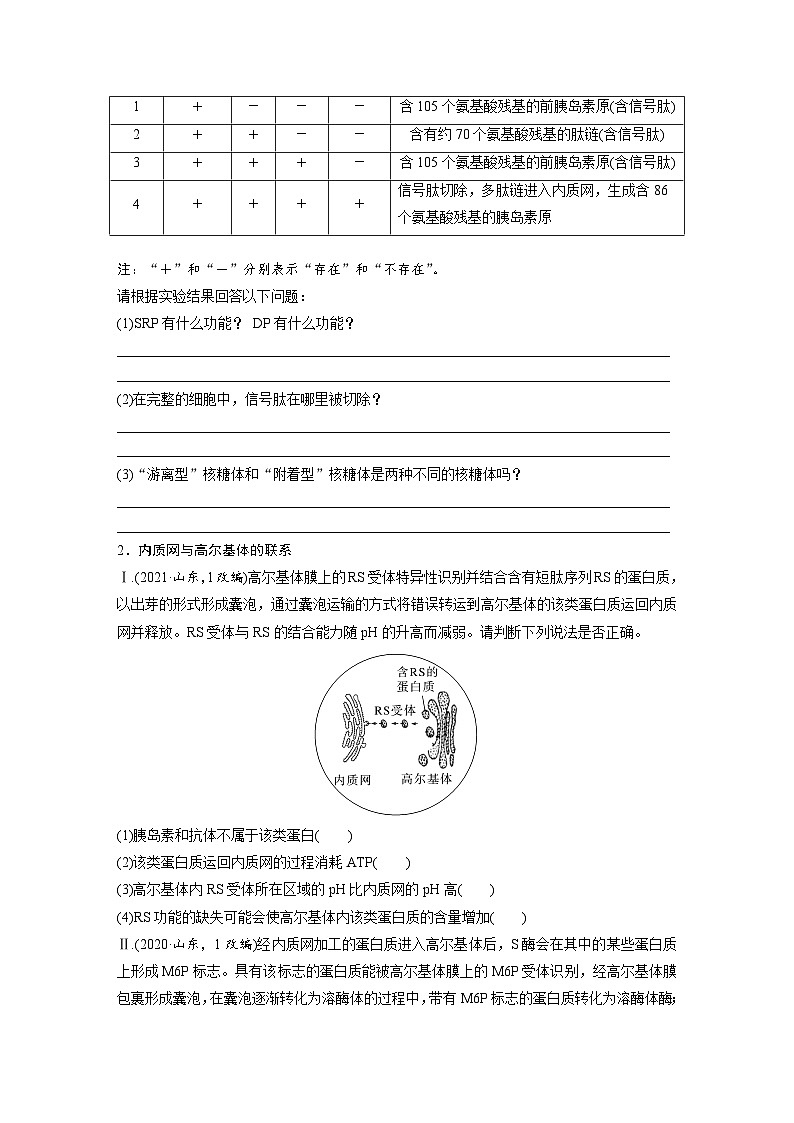第二单元　第八课时　细胞器之间的协调配合-2025年高考生物大一轮复习（课件+讲义+练习）03