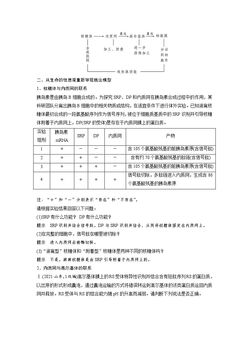第二单元　第八课时　细胞器之间的协调配合-2025年高考生物大一轮复习（课件+讲义+练习）03