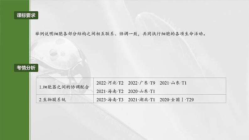 第二单元　第八课时　细胞器之间的协调配合-2025年高考生物大一轮复习（课件+讲义+练习）04