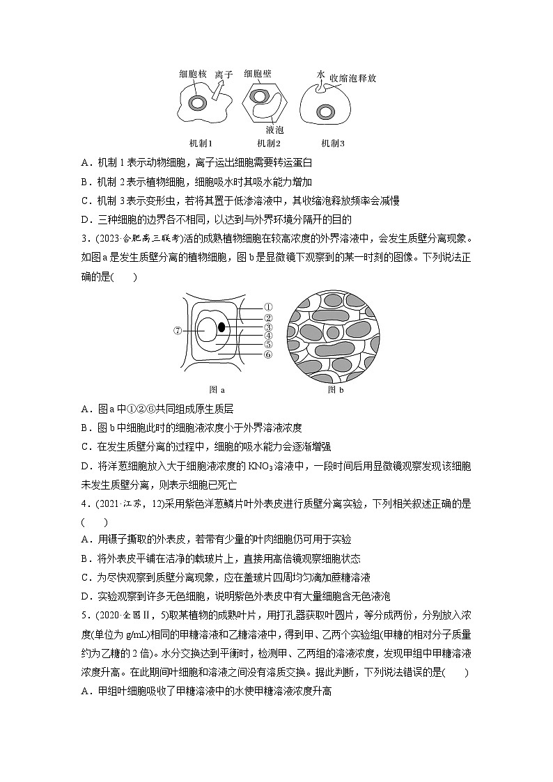第二单元　课时练9  水进出细胞的原理-2025年高考生物大一轮复习（课件+讲义+练习）专练第2页