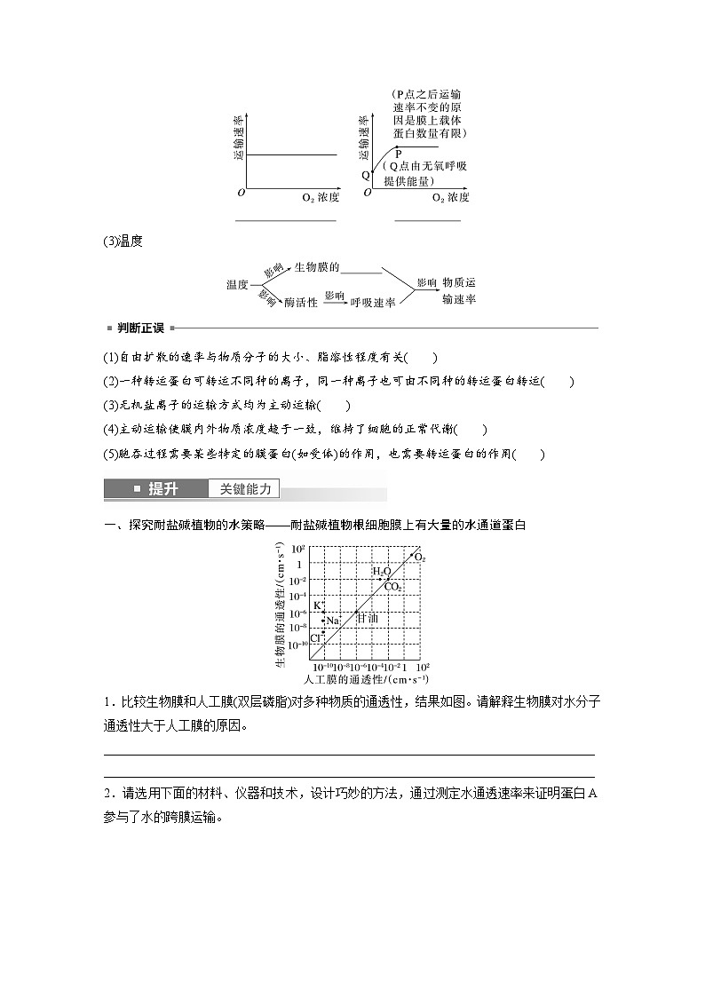 第二单元　第十课时　物质进出细胞的方式及影响因素-2025年高考生物大一轮复习（课件+讲义+练习）03