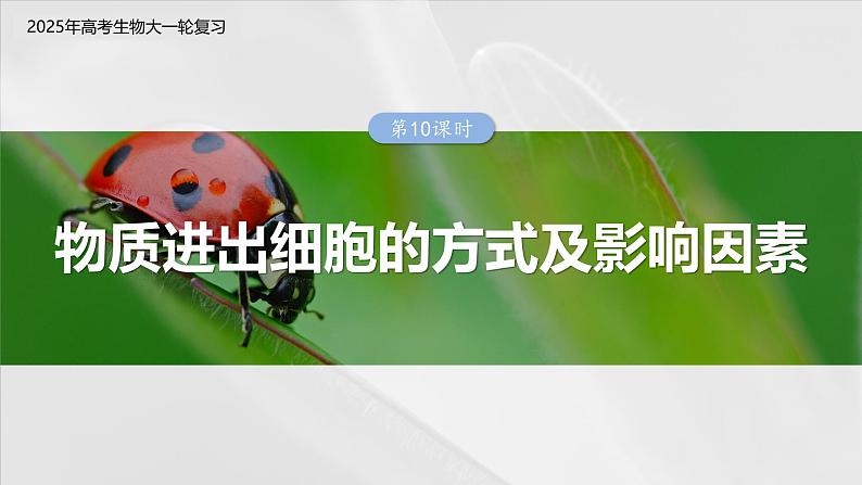 第二单元　第十课时　物质进出细胞的方式及影响因素-2025年高考生物大一轮复习（课件+讲义+练习）03