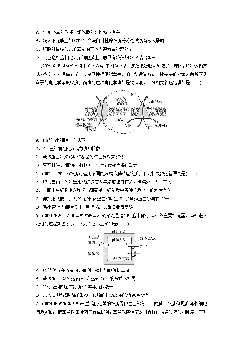第二单元　第十课时　物质进出细胞的方式及影响因素-2025年高考生物大一轮复习（课件+讲义+练习）02