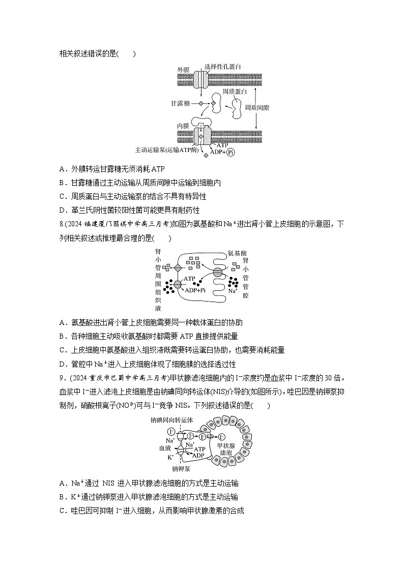 第二单元　第十课时　物质进出细胞的方式及影响因素-2025年高考生物大一轮复习（课件+讲义+练习）03