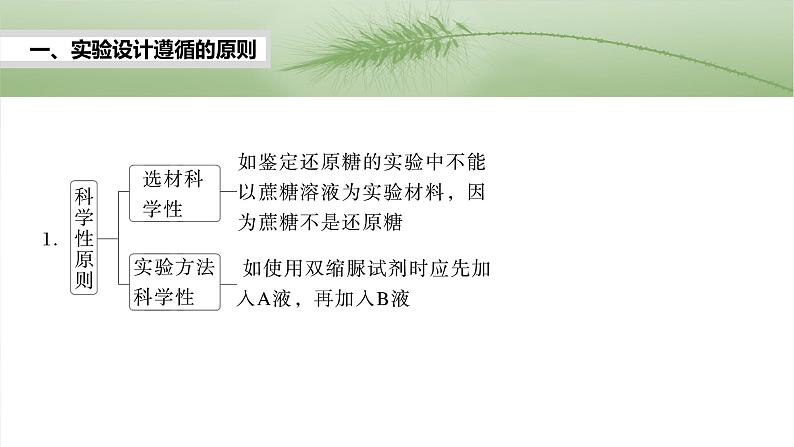 第三单元　专题突破1　实验技能解题策略-2025年高考生物大一轮复习（课件+讲义+练习）04