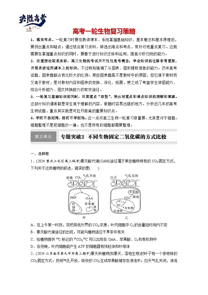 第三单元　专题突破2　不同生物固定二氧化碳的方式比较-2025年高考生物大一轮复习（课件+讲义+练习）01