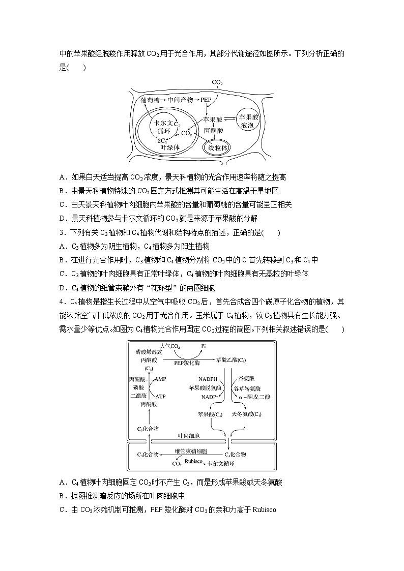 第三单元　专题突破2　不同生物固定二氧化碳的方式比较-2025年高考生物大一轮复习（课件+讲义+练习）02