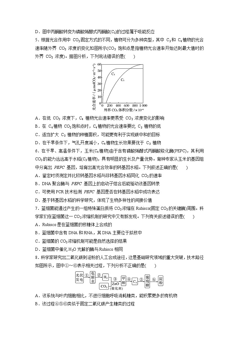 第三单元　专题突破2　不同生物固定二氧化碳的方式比较-2025年高考生物大一轮复习（课件+讲义+练习）03