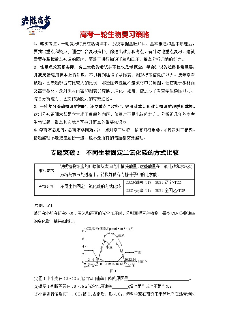 第三单元　专题突破2　不同生物固定二氧化碳的方式比较-2025年高考生物大一轮复习（课件+讲义+练习）01
