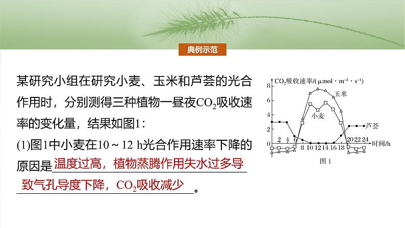 第三单元　专题突破2　不同生物固定二氧化碳的方式比较第5页