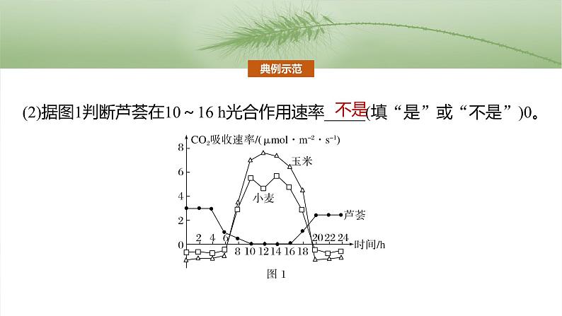 第三单元　专题突破2　不同生物固定二氧化碳的方式比较第6页