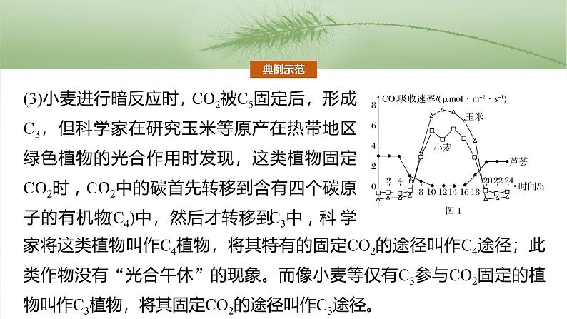 第三单元　专题突破2　不同生物固定二氧化碳的方式比较第7页