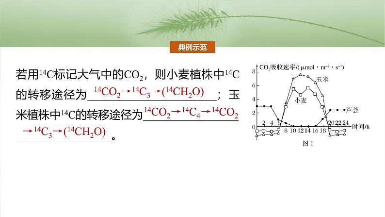 第三单元　专题突破2　不同生物固定二氧化碳的方式比较第8页