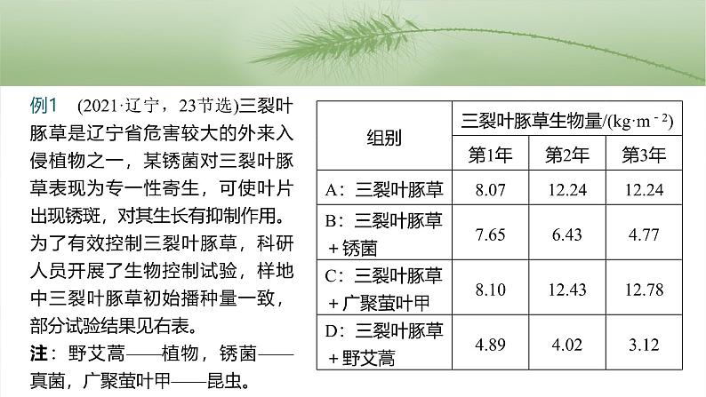 第三单元　专题突破3　长句表达作答策略-2025年高考生物大一轮复习（课件+讲义+练习）06