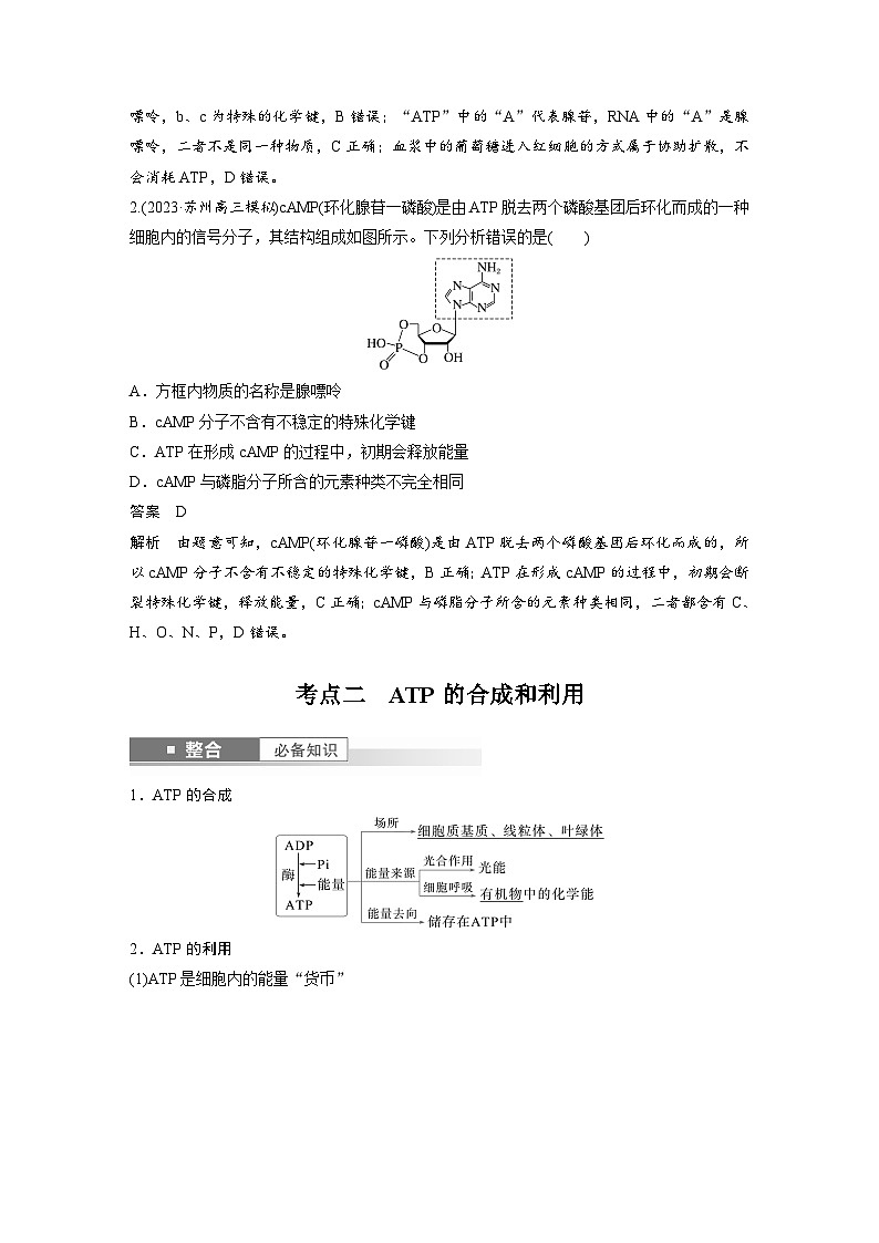 第三单元　第12课时　细胞的能量“货币”ATP-2025年高考生物大一轮复习（课件+讲义+练习）教师版第3页