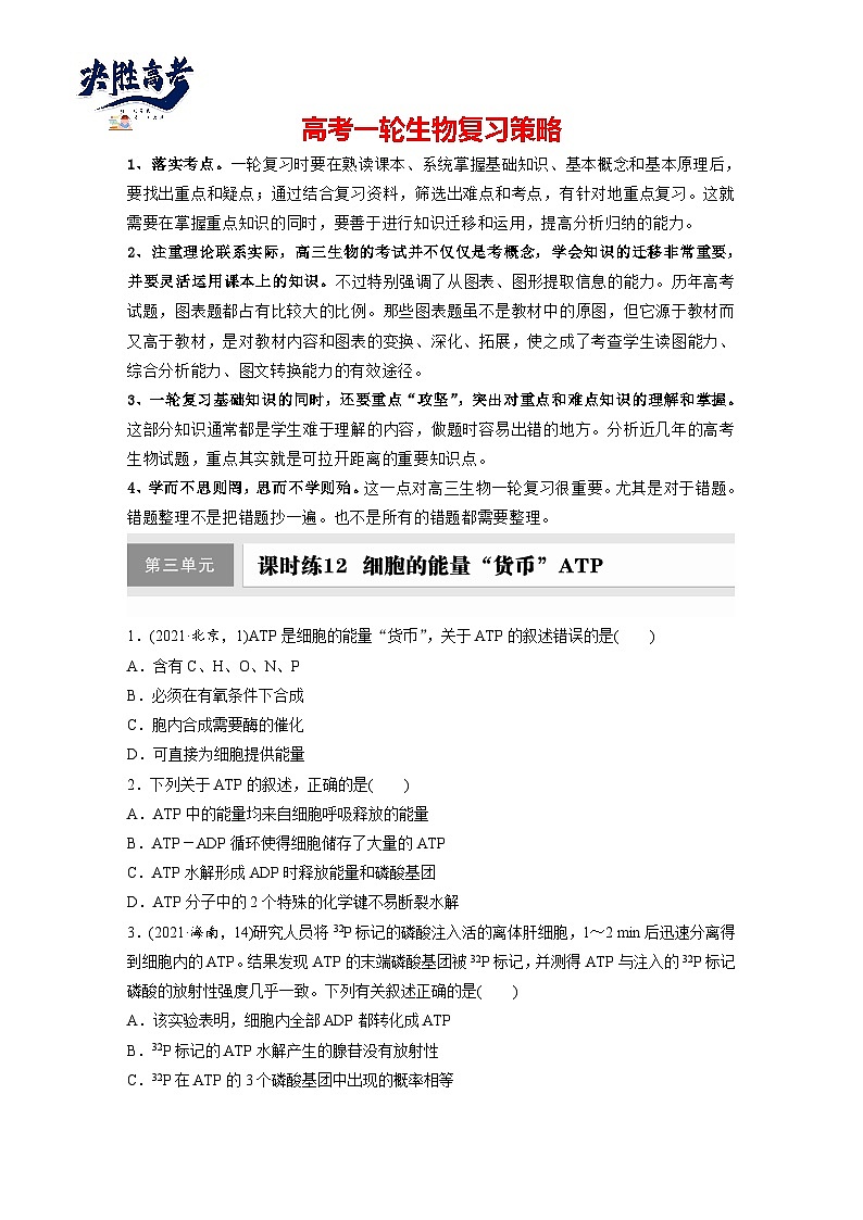 第三单元　课时练12  细胞的能量“货币”ATP-2025年高考生物大一轮复习（课件+讲义+练习）专练第1页